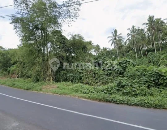 Dijual Cepat Tanah Strategis Daerah Mapanget, Harga Sangat Murah