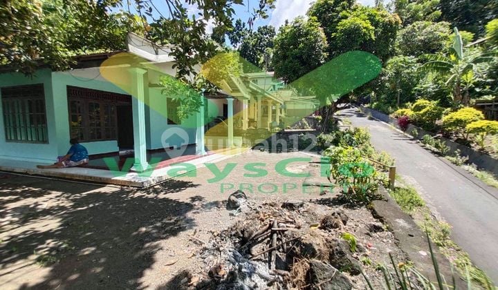 Dijual Cepat Rumah Murah Daerah Bitung, Harga di Bawah Pasaran