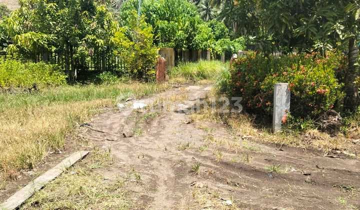 Dijual Cepat Tanah Cantik Pinggir Pantai Tanahwangko, Harga Sangat Murah