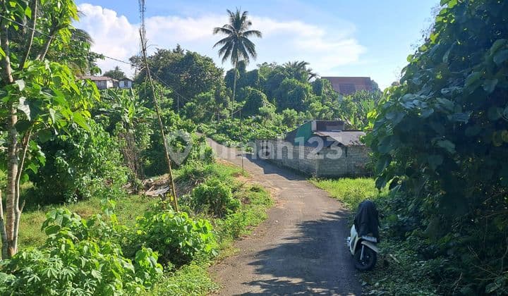 Quick Sale Very Cheap Land in Polytechnic Area, Price Below Market