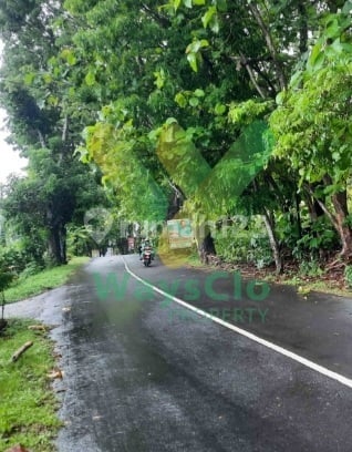 Dijual Cepat Tanah Cantik Dan Strategis Daerah Tuminting, Harga Sangat Murah