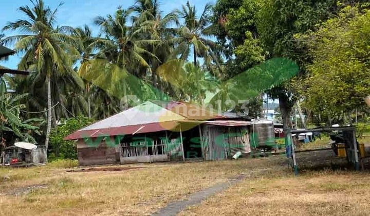 Dijual Cepat Tanah Menarik Plus Gudang, Harga Sangat Murah
