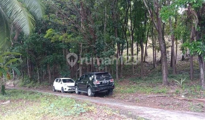 Dijual Cepat Tanah Sangat Murah Daerah Tanahwangko, Harga di Bawah Pasaran