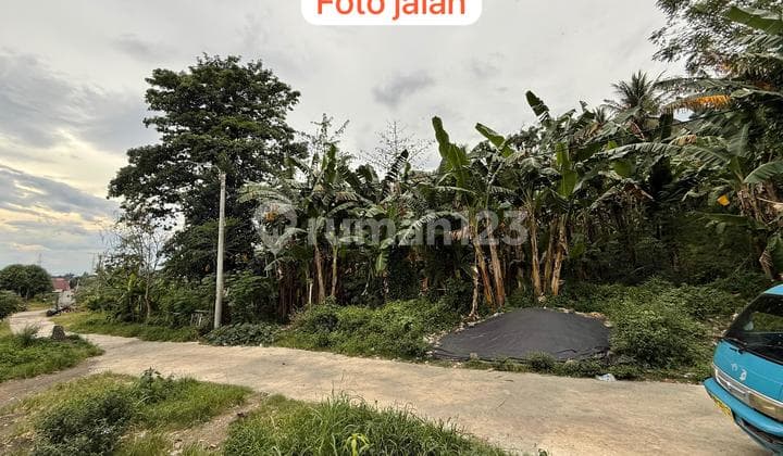 Quick Sale Beautiful and Attractive Land in Bitung Area, Very Affordable Price