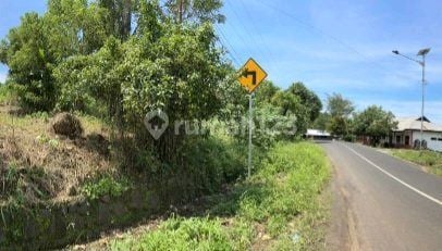 Dijual Cepat Tanah Sangat Strategis Daerah Wori, Harga Sangat Murah Dijual Cepat Tanah Sangat Strategis Daerah Wori, Harga Sangat Murah