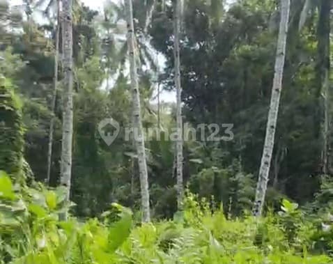 Dijual Cepat Tanah Menarik Daerah Citraland, Harga Sangat Murah