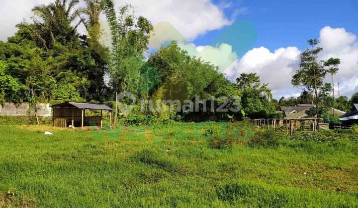 Dijual Cepat Tanah Cantik dan Menarik Daerah Tomohon, Harga Sangat Murah