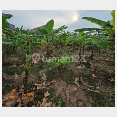 Tanah Siap Bangun Sangat Dekat dengan Unesa Cocok untuk Kost Mahasiswa di Lidah Lakarsantri Surabaya Barat