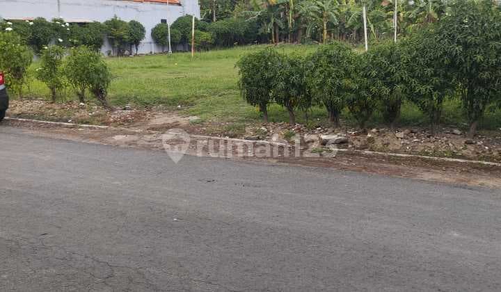 TANAH LOKASI SUPER STRATEGIS DI SEDATI AGUNG 2 COCOK UNTUK PERUMAHAN MAUPUN INVESTASI