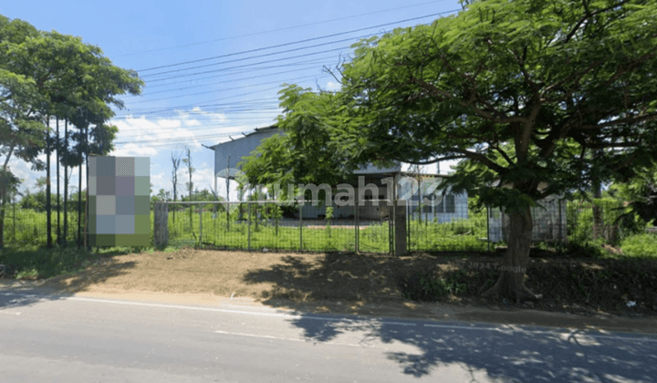 TANAH DAN BANGUNAN DI JALUR UTAMA PANTURA COCOK UNTUK USAHA MAUPUN PERGUDANGAN DI BANCAR TUBAN