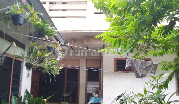 Rumah Plus Sarang Burung Wallet di Jatiwangi Majalengka