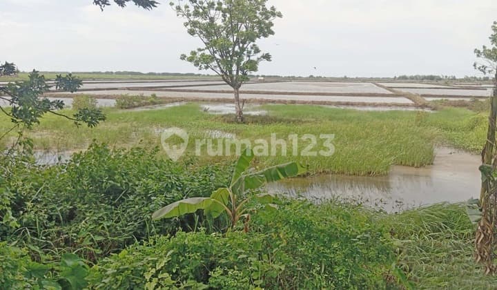 Dijual Tanah di Area Kecamatan Gebang Cirebon