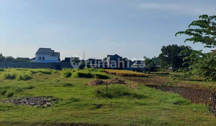 Tanah Padat Lokasi 10 Menit Dari Pintu Tol Ciperna