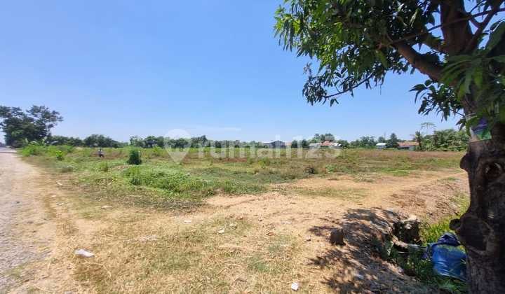 Dijual Cepat Tanah Jalur Pantura Jalan Provinsi Strategis