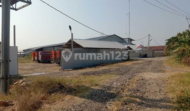 Kandang Ayam di Majalengka Kapasitas 70 Ribu Ekor