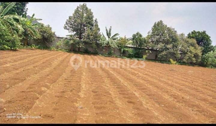DIJUAL CEPAT
Kavling di Jl. MANDOR TADJIR , CURUG , BOJONGSARI - DEPOK