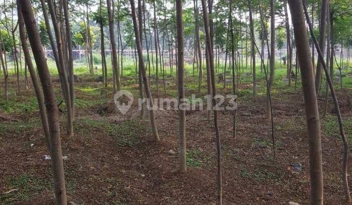 DIJUAL CEPAT..
KAVLING Di GUNUNG SINDUR, PARUNG , KABUPATEN BOGOR