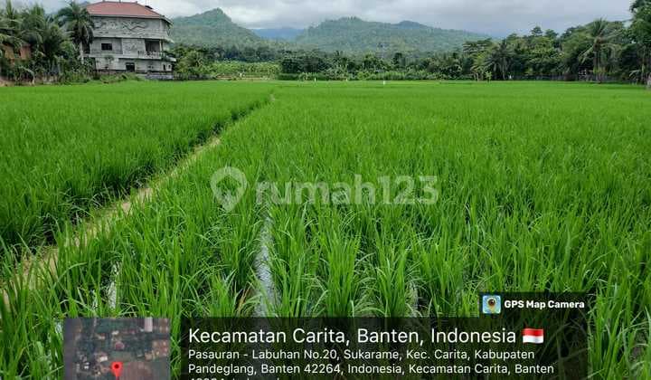 Dijual Cepat Tanah Di Pantai Carita, Banten.