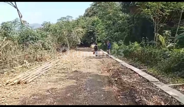 Dijual Tanah/kavling Di Desa Putat Nutug, Ciseeng, Kab Bogor