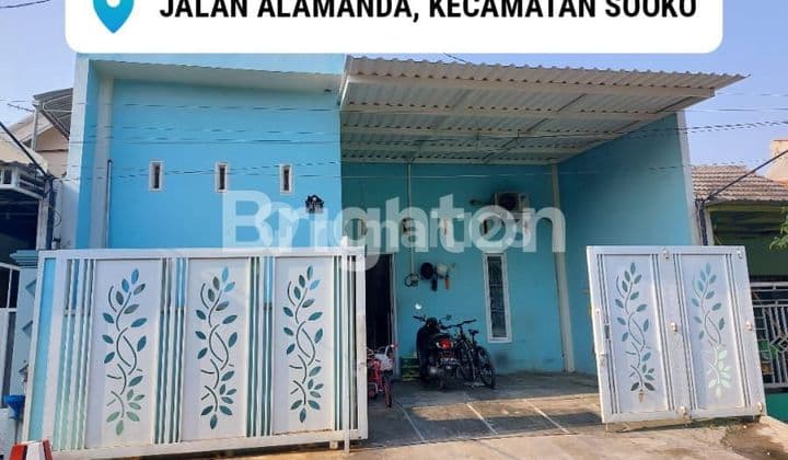 Alamanda pondok teratai Sooko mojokerto