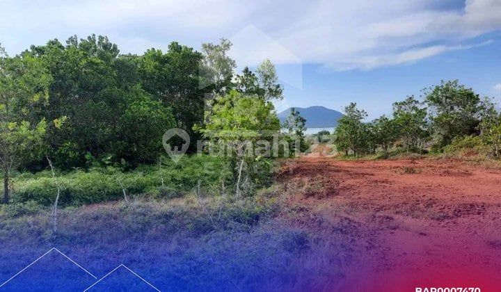 Dijual Cepat Tanah di Bintan Dengan View Laut dan Gunung Bintan, Jalan Aspal dekat Bukit Perkemahan Tembeling