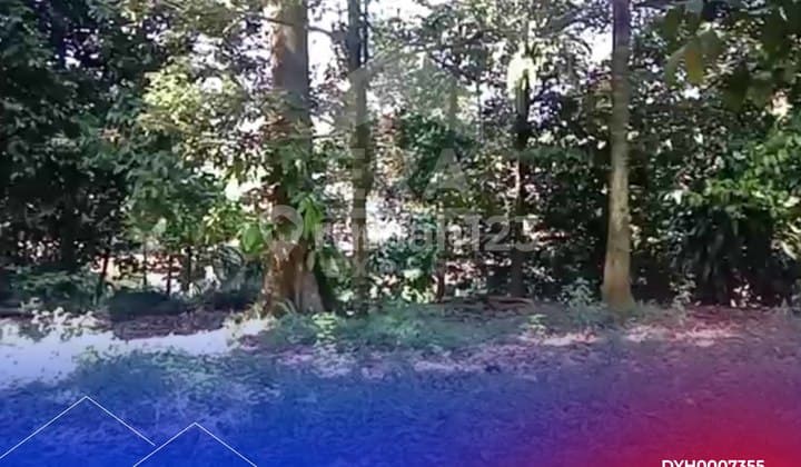 Dijual Tanah Kavling Luas 1000m2, Ada Kebun Durian @Pasir Angin, Bogor