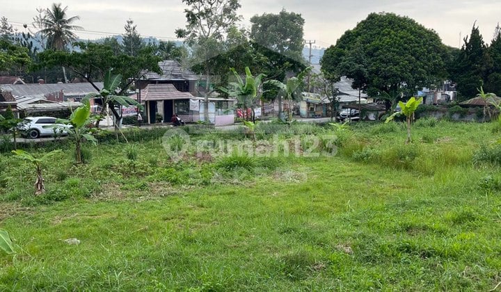 Jual Cepat Tanah Siap Bangun, Puncak Kota Bunga Cipanas, Shm harga bagus