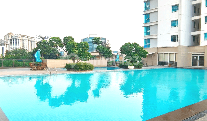 Termurah!! Apartemen Springhills Terrace Tower Sandal Wood Type Studio Fullfurnish, Tinggal Bawa Koper!!!