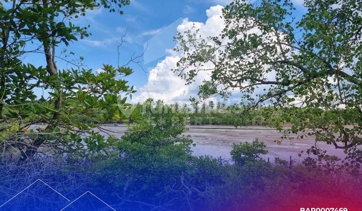 Dijual Cepat Tanah di Bintan Dengan View Pulau Ketir dan Gunung Bintan, Cocok Untuk Ekowisata