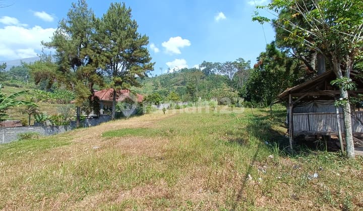 CEPAT !!! Tanah Kavling Murah Siap Bangun Taman Dayu