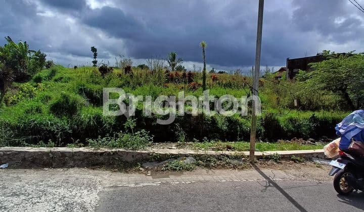 Tanah View Ciamik Poll Pusat Kota Batu Cocok Buat Semua Usaha