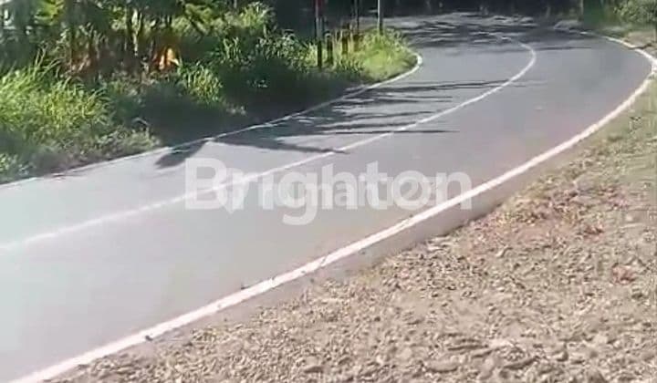 Hanya 8 Menit Ke Exit Tol Purwodadi! Tanah Nol Jalan Raya Nongko Jajar Akses Bus Pariwisata