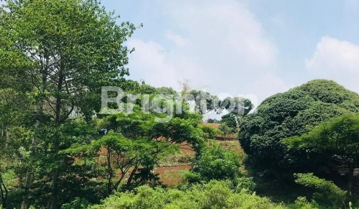 Cheap Land in Junrejo, Batu Very Suitable for Agriculture or a Hidden Gem Cafe. Cheap Land in Junrejo, Batu Very Suitable for Agriculture or a Hidden Gem Cafe.