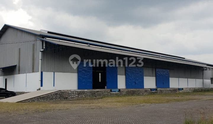 Gudang Baru Gress By Pass Krian di Disewakan Gudang di Sidoarjo |
Jln. BY Pass Krian, Kab. Sidoarjo.
- Luas tanah 10.159 m2
- Luas Infra / area parkir 6.289 m2
- Luas bangunan gudang 3.870 m2 ( ± 50 x 80 )
- PLN 16500 VA
- Cctv 24 jam
- Satpam 24 jam
-