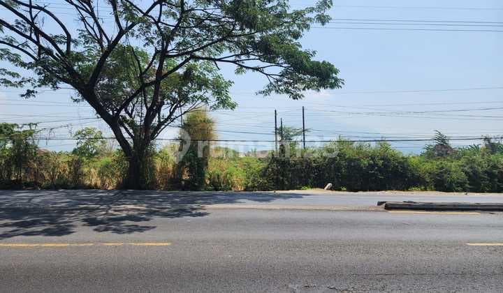 Tanah Dinol Raya Propinsi Pandaan Pasuruan