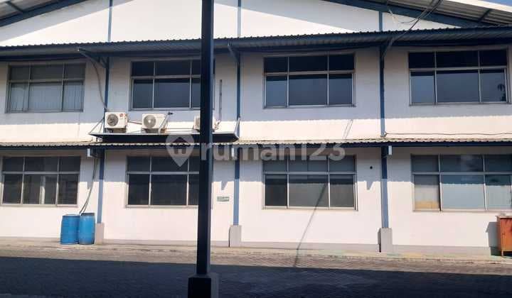 Tack Over Pabrik Cat Mojosari Mojokerto Masih Bagus Terawat