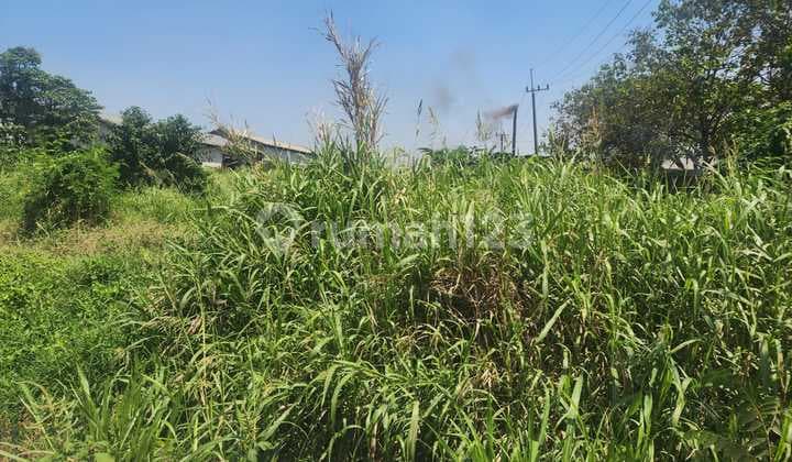 Tanah di Sumput Driyorejo Akses Strategis Dekat Citraland