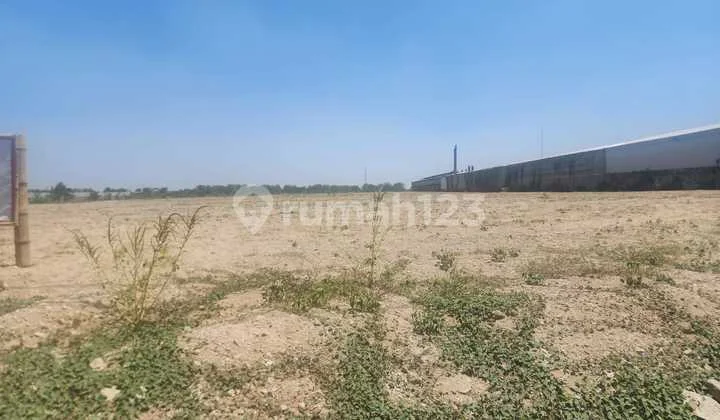 Tanah di Ploso Jombang Masih Bagus Akses Strategis Tanah di Ploso Jombang Masih Bagus Akses Strategis