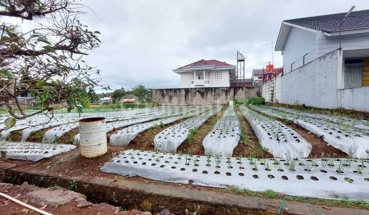 Turun Harga! Tanah Kavling Lokasi Sejuk di Graha Puspa Lembang