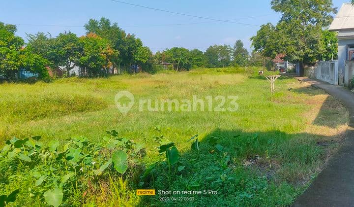 Tanah Murah di Karawang Cikampek SHM Akses Container