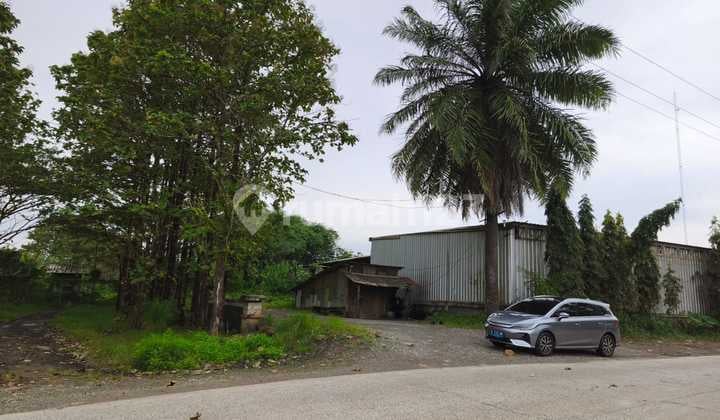 Dijual Kavling Murah Dekat Sekolah, Parung Panjang