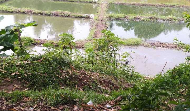 Dijual Murah Kavling di Gunung Sindur, Bogor