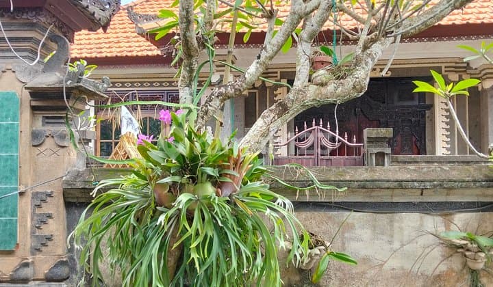 Rumah Luas. Disewakan Murah.di. Nusa. Dua