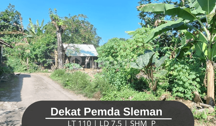 Cheap Land for Sale, Freehold Title, Beran Area, Around 300 Million, Near Sleman Regional Government Office