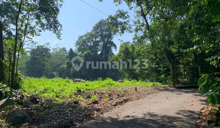 Dekat Uii Tanah SHM 2 Jutaan Umbulmartani Jalan Kaliurang KM 16