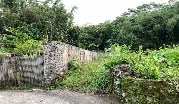 Cheap Land Wonokerto Turi Sleman 500 Thousand Near HPAIC Merapi