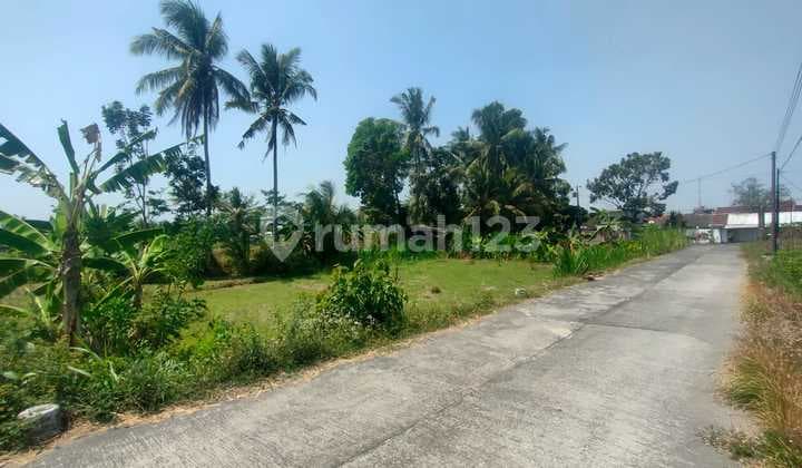Tanah Sawah Murah 2 Jutaan Dekat Ponpes Pandanaran Kaliurang