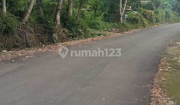 Cheap Land Under 2 Million in North UII, Kaliurang Road KM 17.5, Pakem