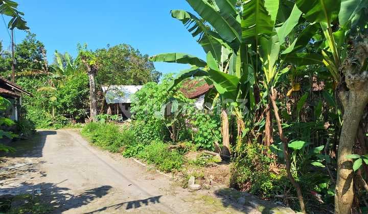 Jual Tanah Pekarangan 300 Jutaan di Beran Dekat Pemda Sleman