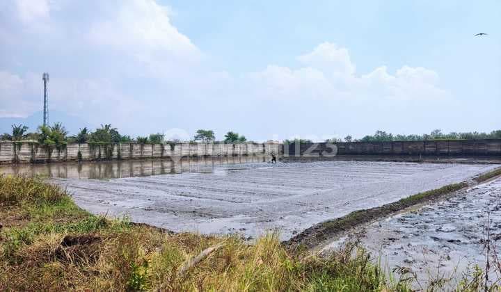 Kavling Area Pabrik Dan Pergudangan Dekat Exit Tol Summarecon